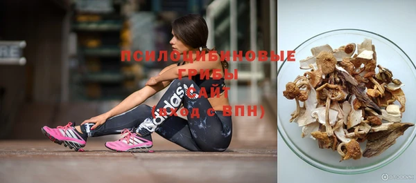 a pvp Новокубанск