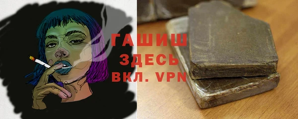 гашик Новозыбков
