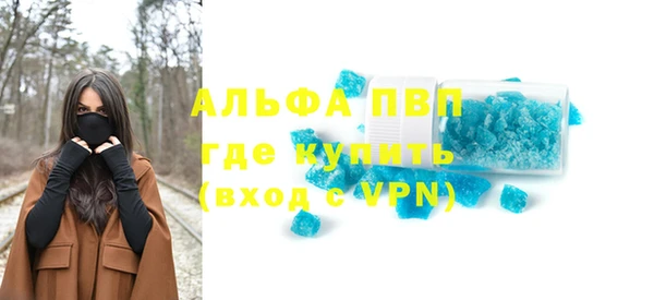 гашик Новозыбков