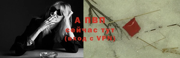 амф Новодвинск