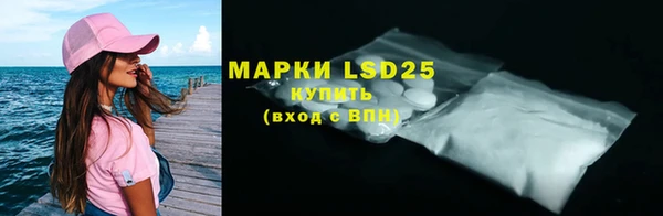 гашик Новозыбков