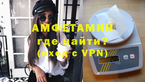 гашик Новозыбков