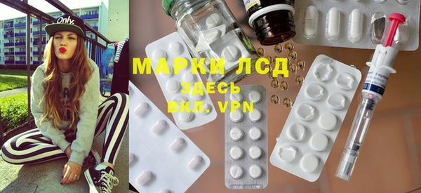 гашик Новозыбков