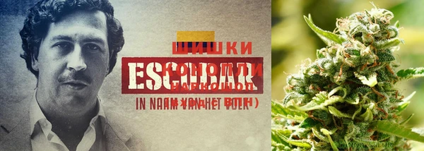экстази Нягань