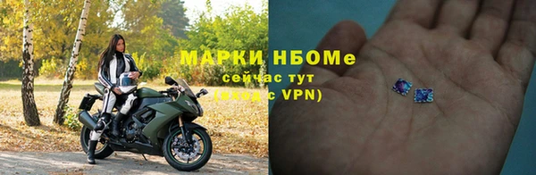 гашик Новозыбков