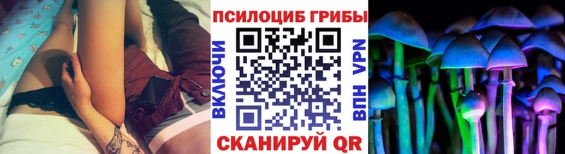 Галлюциногенные грибы Magic Shrooms  купить  цена  Красный Сулин 