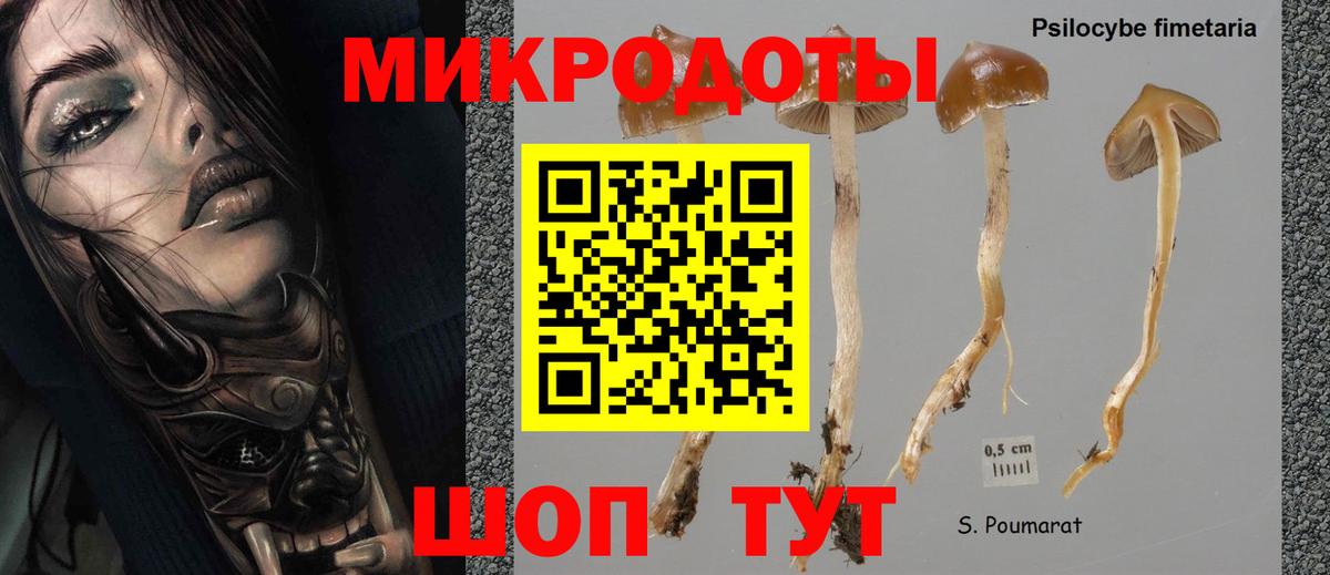 A-PVP СК кристаллы  ГАШИШ  Метамфетамин  КОКАИН  Меф МЯУ МЯУ кристаллы  Бошки Шишки  Вейп ТГК  Красный Сулин  Вход с VPN 